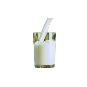 Skimmed Milk - Image